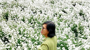 Ngabuburit Asyik di Lembang: Foto di Taman Bunga dan Petik Strawberry