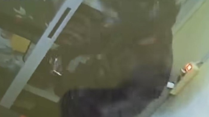 **Rumah Warga Gunung Putri Bogor Dibobol, Emas Mulia 50 Gram Raib: Video Pencurian di Medsos Menyebutkan Pelaku Sendiri**