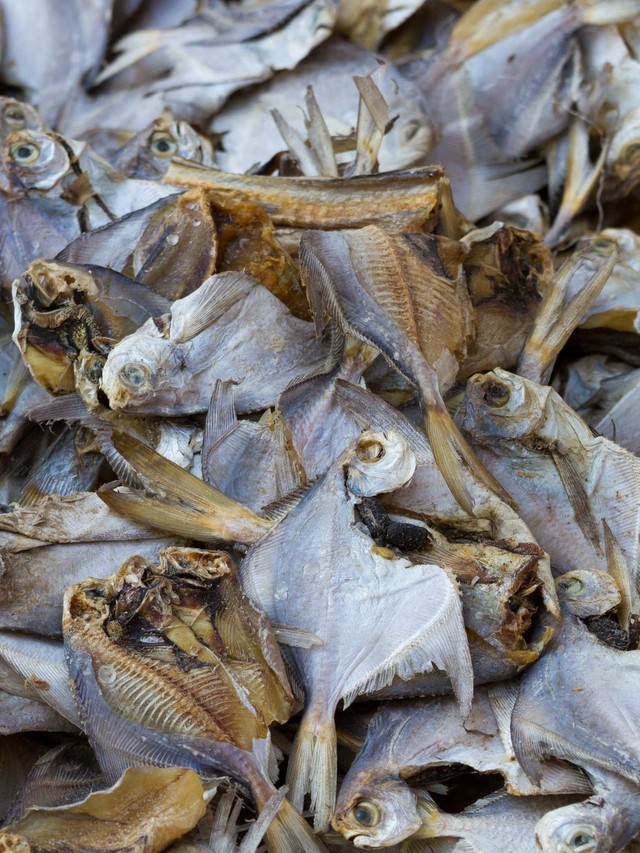 Ikan Asin Disemprot Baygon