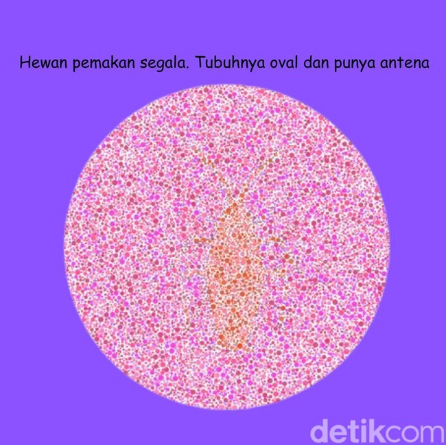 Tes Kejelian Mata 10 Detik! Nomor 1 Masih Mudah, tapi Bisa Jawab Nomor 4?