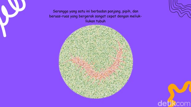 Asah otak Asah otak