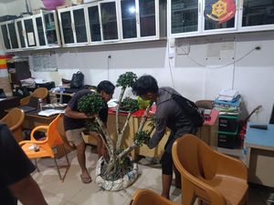Butuh Uang untuk Beli Susu Anak, Pria di Pangkalpinang Curi 19 Bongsai