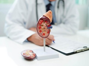 Dokter Beri Warning Tanda Ginjal Bocor, Waspadai Ciri-ciri Urine Seperti Ini