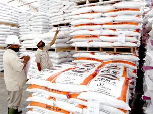 Tekan Biaya Produksi Peternak, JAPFA Turunkan Harga Pakan Jelang Lebaran