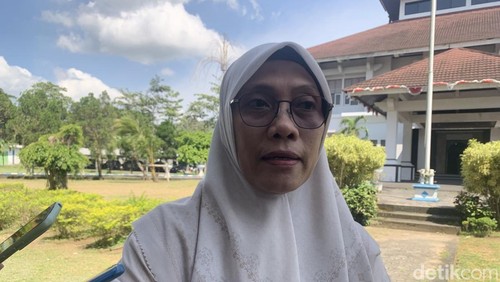 Kepala Badan Kepegawaian Daerah dan Pengembangan Sumber Daya Manusia (BKDPSDM), Pemerintah Kabupaten (Pemkab) Lombok Barat, Baiq Mustika Dwi Adni. (M. Zahiruddin/detikBali)