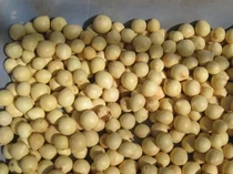 BRIN Olah Tanaman Ini Jadi Bahan Bakar Nabati, Bisa Jadi Energi Masa Depan?