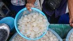 Penjualan Kolang-kaling di Pasar Tanah Abang Lesu Saat Ramadan