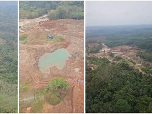 Polda Lampung Bongkar Tambang Emas Ilegal di Tengah Lahan PTPN