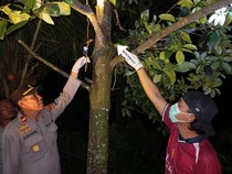 Pria Dompu Ditemukan Tewas Gantung Diri di Pohon Nangka Usai Buka Puasa