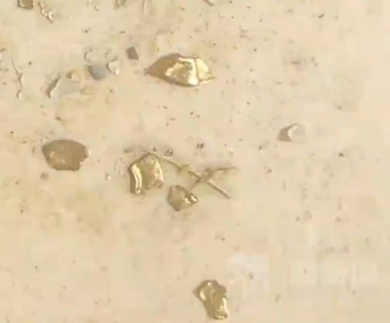 Pria Ini Temukan Emas Rp 43 Juta di Dalam Perut Bebek