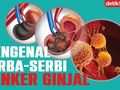 Waspadai Kanker Ginjal, Pola Makan Seperti Ini Bisa Tingkatkan Risiko