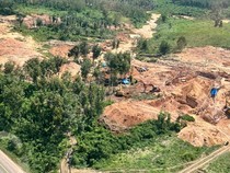 Tambang Emas Ilegal di Lahan PTPN Lampung Hasilkan Rp 2,8 Miliar/Hari