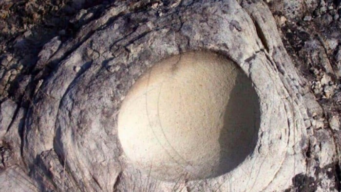 Telur dinosaurus
