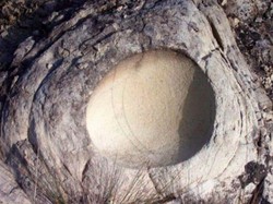 Langka! Ilmuwan Temukan Telur di Dalam Telur Dinosaurus Usia 68 Juta Tahun