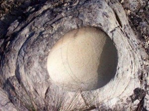 Langka! Ilmuwan Temukan Telur di Dalam Telur Dinosaurus Usia 68 Juta Tahun