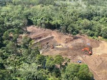 200 Hektare Lahan PTPN Lampung Rusak karena Mengandung Mercury