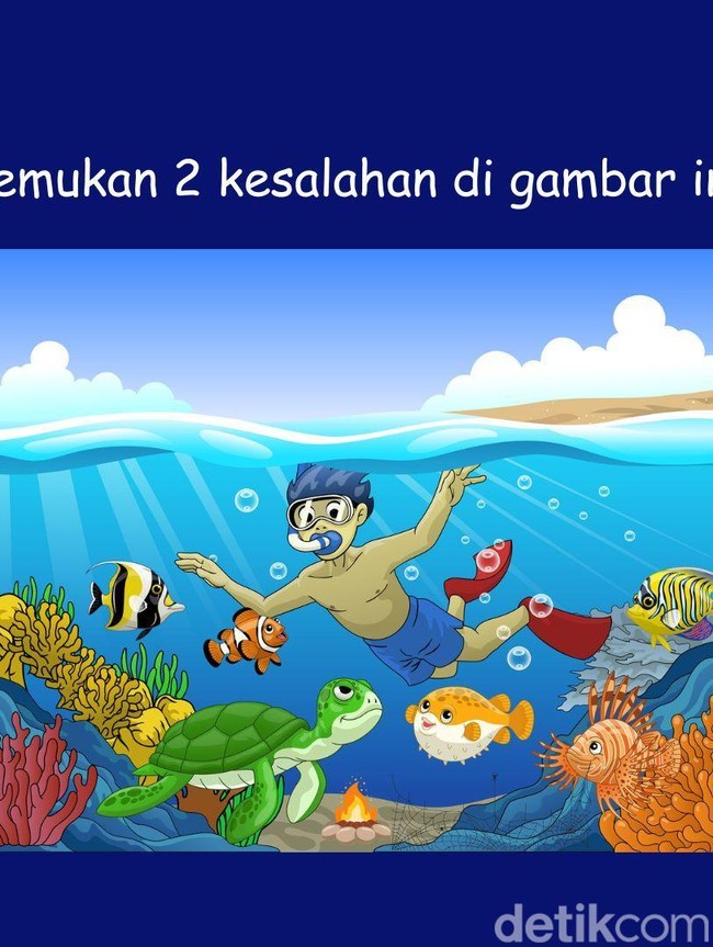 Ayo Jadi Detektif! Temukan Apa yang Janggal dari Gambar Ini?