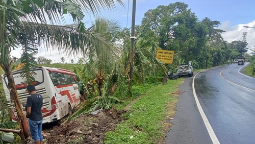 Bus MK Trans terperosok ke ladang warga di Desa Antosari, Kecamatan Selemadeg Barat, Rabu (11/3/2026). /Istimewa