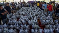 Harga sejumlah jenis ikan seperti Ikan Lemuru dan Ikan Layang mengalami kenaikan antara Rp2 ribu-6 ribu per kilogram di TPI Pekalongan menjelang Lebaran.  Foto: ANTARA FOTO/Harviyan Perdana Putra