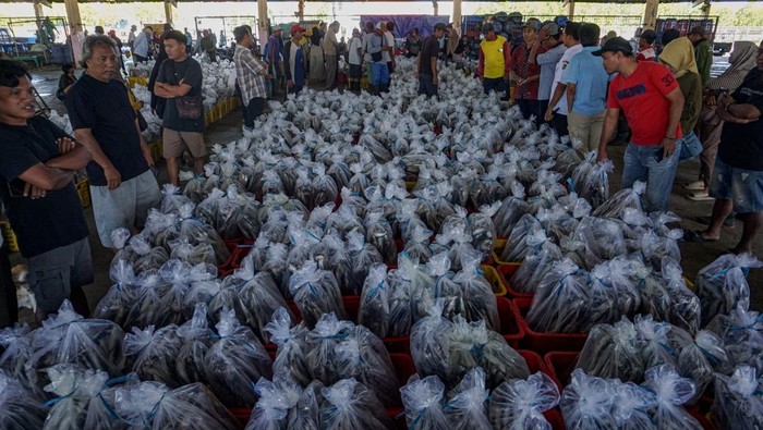 Pekerja membawa ikan hasil lelang konsumen dengan alat dorong di Tempat Pelelangan Ikan (TPI) Kota Pekalongan, Jawa Tengah, Rabu (11/3/2026). Menurut pengelola TPI Kota Pekalongan, harga berbagai jenis ikan seperti Ikan Lemuru dan Ikan Layang di TPI itu mengalami kenaikan antara Rp2 ribu-6 ribu per kilogram yang dipicu menipisnya stok tangkapan ikan dampak dari cuaca buruk, sementara permintaan ikan tinggi menjelang Lebaran 2026. ANTARA FOTO/Harviyan Perdana Putra/bar