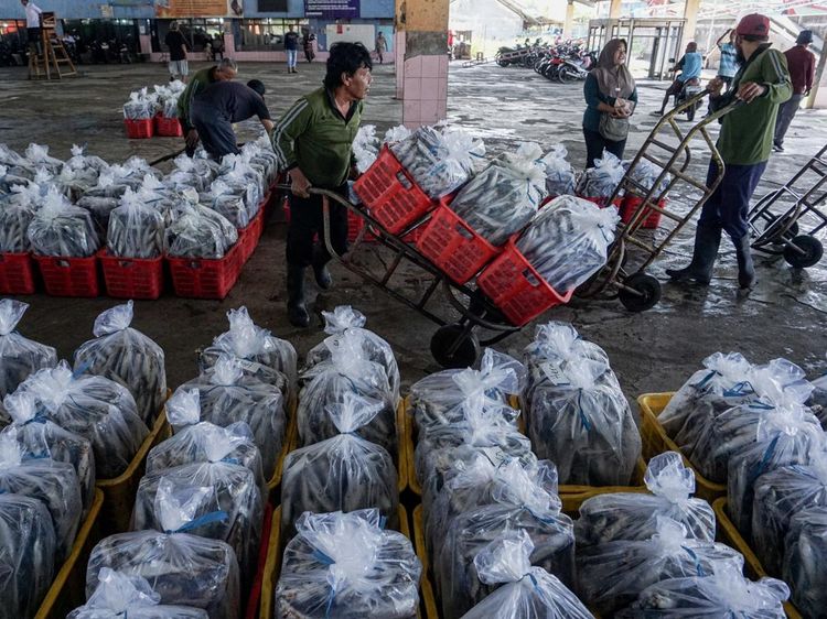 Nelayan Terimbas Cuaca, Harga Ikan Naik Jelang Lebaran