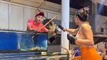 Heboh! Penjual Seafood Cantik Barbar Ini Viral Jadi Sorotan Netizen