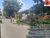 Pohon Depan SMKN 30 Jakarta Tumbang, 3 Orang Luka