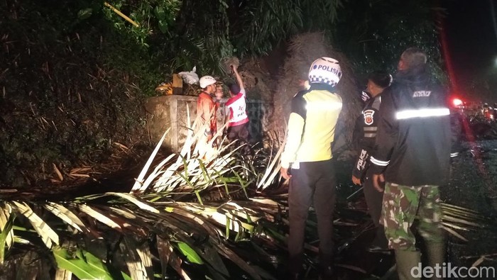 Pohon tumbang di Cadas Pangeran Sumedang.