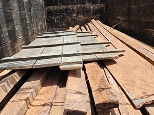 Polisi Bongkar Illegal Logging di Riau: 1 Truk Kayu Disita, Pelaku Dijerat