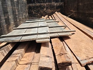 Polisi Bongkar Illegal Logging di Riau: 1 Truk Kayu Disita, Pelaku Dijerat