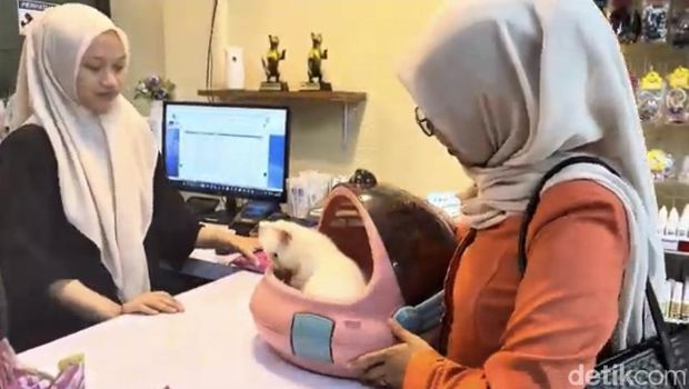 Sejumlah pemilik anabul menyerahkan kucing kesayangan untuk diinapkan di Hotel Anabul.