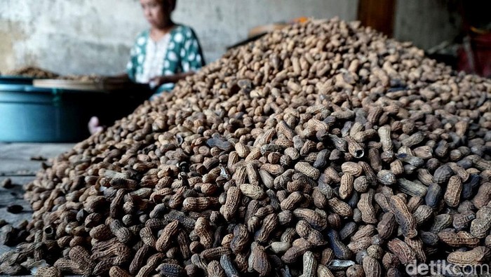 Tradisionalnya Produksi Kacang Goreng Pasir di Jombang