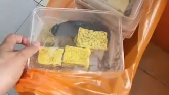 SPPG Pamekasan Disetop Sementara Usai Heboh Menu MBG Lele Mentah