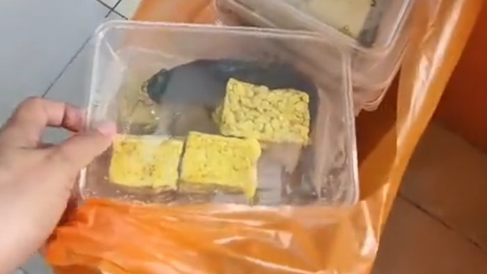 Viral menu makan bergizi gratis (MBG) berupa lele mentah, sajian ini pun langsung ditolak oleh SMA Negeri 2 Pamekasan.