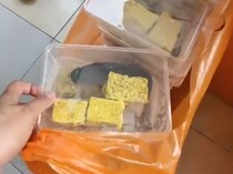 BGN Setop Sementara SPPG yang Viral Sajikan Menu Lele Mentah Marinasi