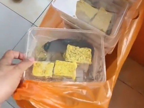 Viral menu makan bergizi gratis (MBG) berupa lele mentah, sajian ini pun langsung ditolak oleh SMA Negeri 2 Pamekasan.