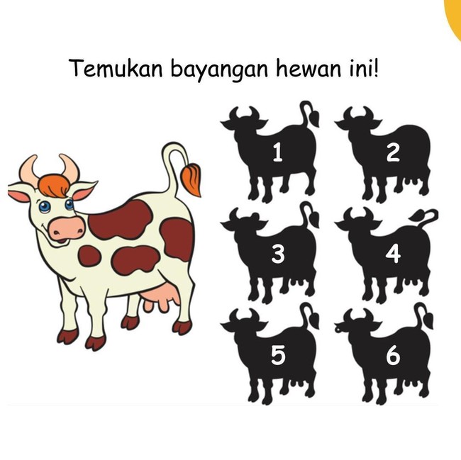 Uji Ketelitian Mata, Coba Selesaikan Kurang dari Semenit!