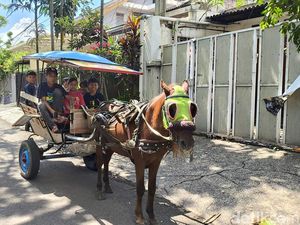Momen Motor Tabrak Kuda Delman di Bukittinggi