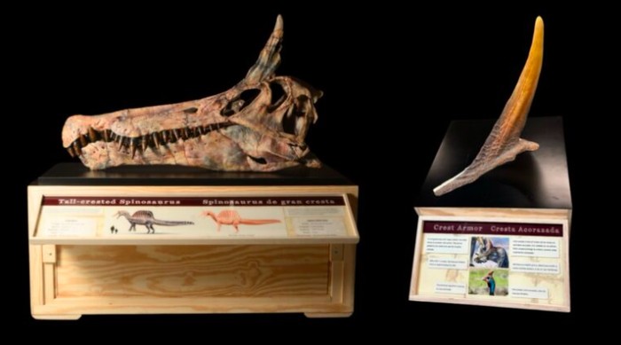 Dinosaurus mirip unicorn