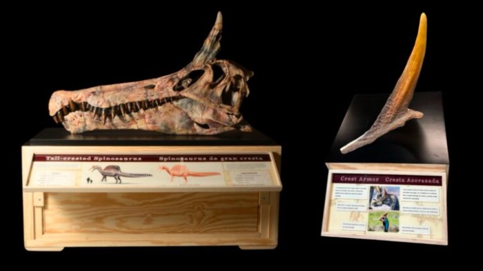 Dinosaurus mirip unicorn