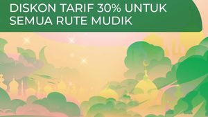 Dirut PT Pelni: Diskon Tarif 30% di Semua Rute Mudik
