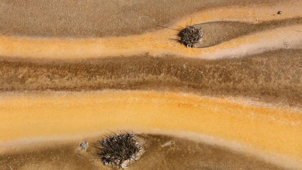 Geyser Echinus di TN Yellowstone, AS