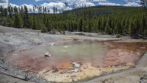 Geyser Echinus di TN Yellowstone, AS