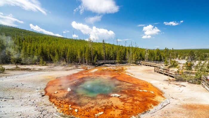 Geyser Echinus di TN Yellowstone, AS