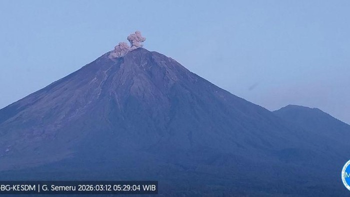 Gunung Semeru erupsi dengan letusan setinggi 600 meter di atas puncak pada Kamis (12/3/2026). ANTARA/HO-PVMBG