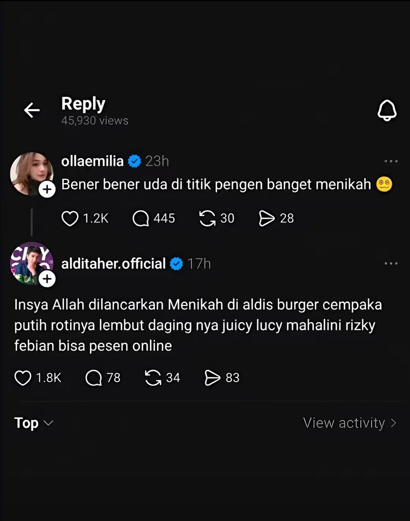 Aldi Taher mempromosikan jualan burger miliknya hingga spam di berbagai postingan di media sosial. Memenya pun bertebaran.