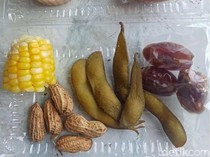 Siswa Difabel di Bima Diberi MBG Cuma Sepotong Jagung-Kacang, SPPG Akui Lalai