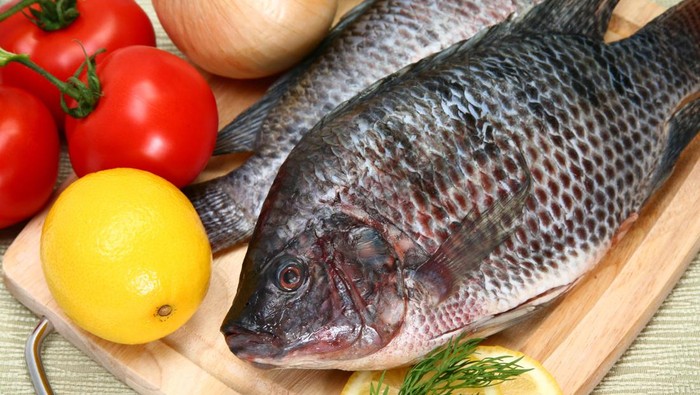 MPASI ikan nila