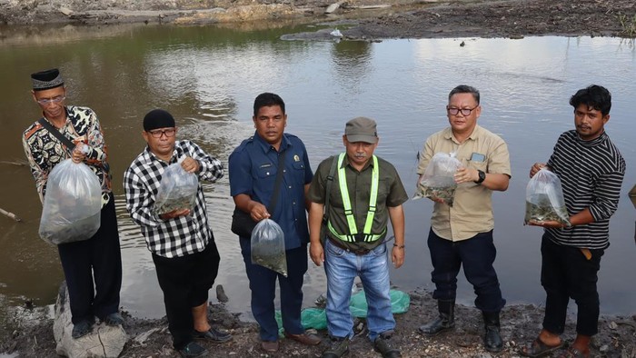 Pelepasan benih ikan di Sungai Siak oleh PT AIP. (Istimewa)