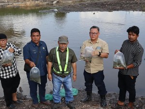Komitmen AIP Dukung Program Nelayan di Siak, Tebar Benih Ikan Jaga Ekosistem